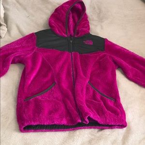 The north face jacket